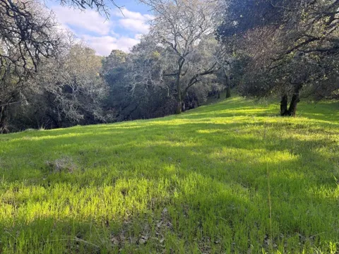 Chesbro Lake Drive