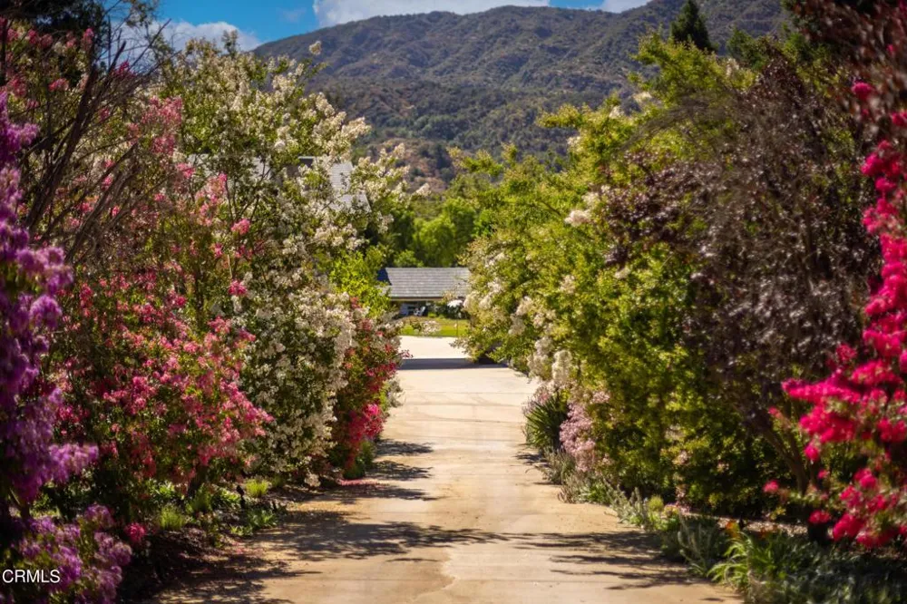 741 Saddle Lane Ojai, CA 93023