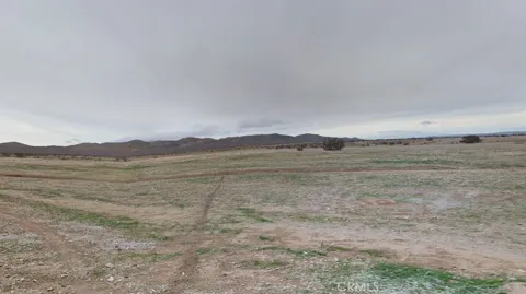 Wild Wash