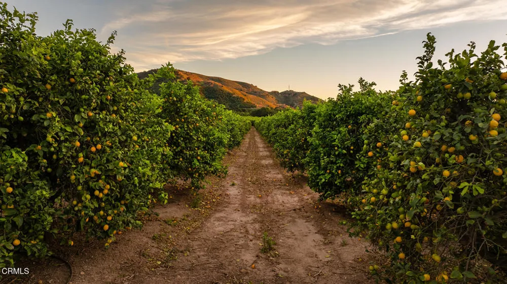 Goodenough Rd Street Fillmore, CA 93015