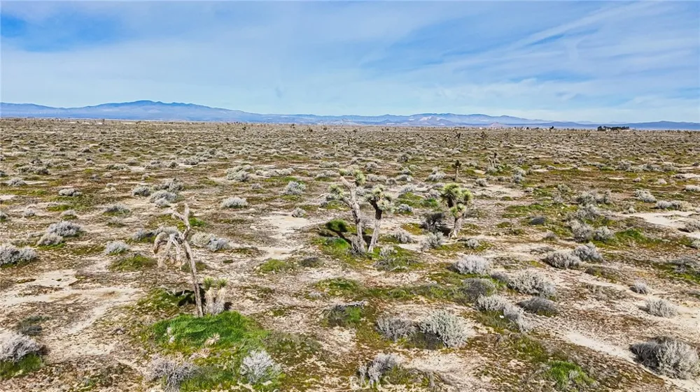 2895 E Avenue G Roosevelt, CA 93535