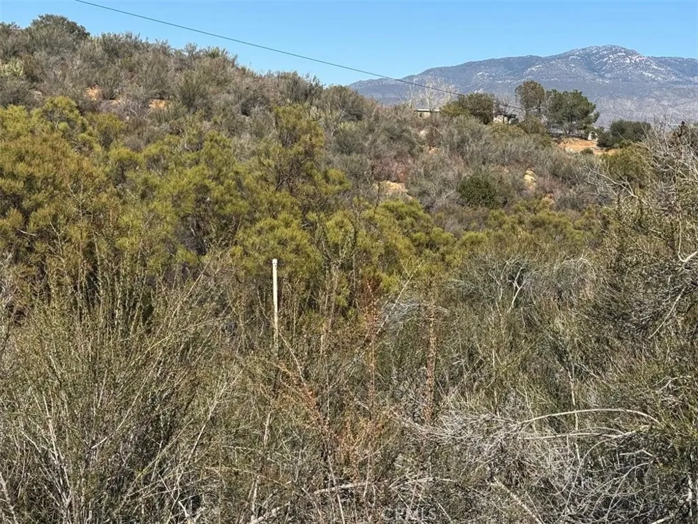 Trails End Anza, CA 92539