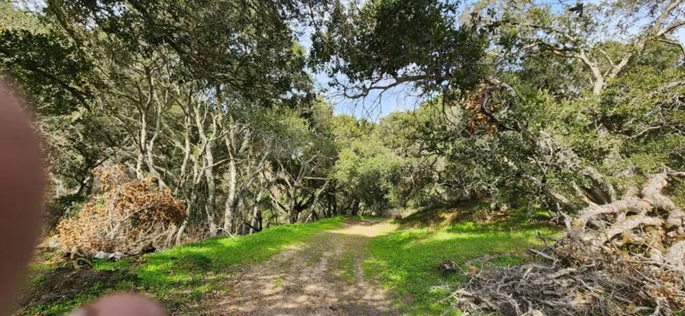 Salinas Road San Juan Bautista, CA 95045