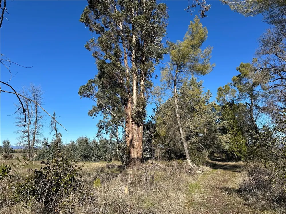 5235 Gaddy Kelseyville, CA 95451