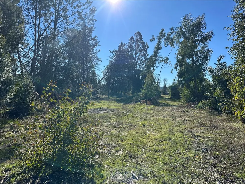 5235 Gaddy Kelseyville, CA 95451