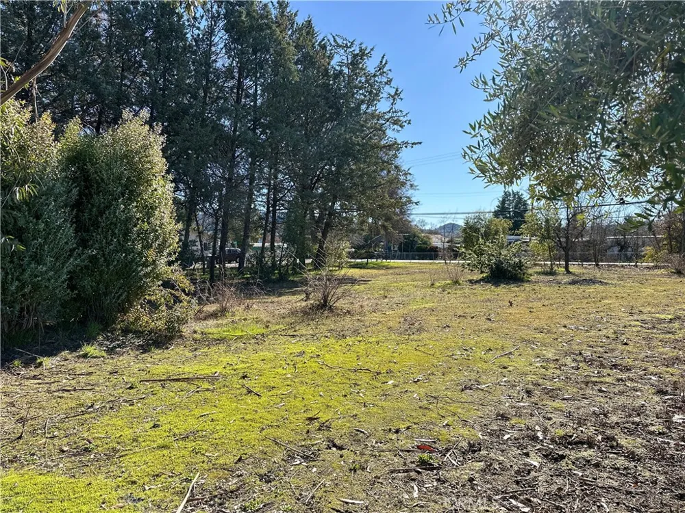 5235 Gaddy Kelseyville, CA 95451