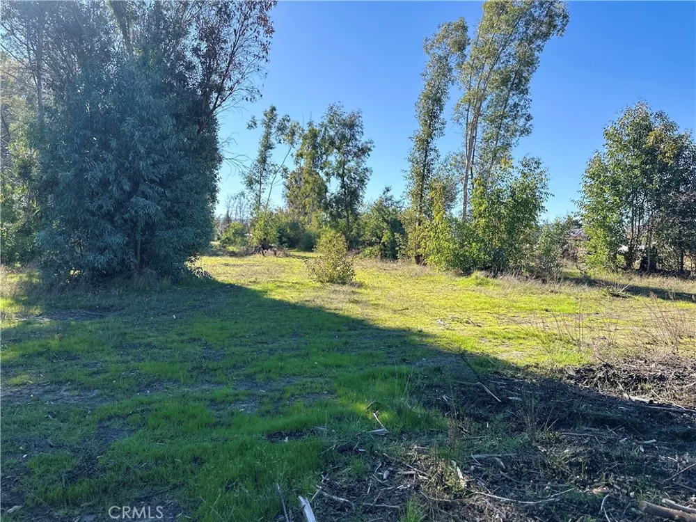 5235 Gaddy Kelseyville, CA 95451