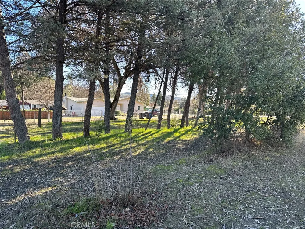 5235 Gaddy Kelseyville, CA 95451