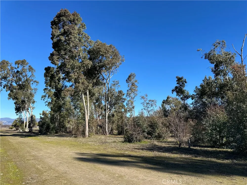 5235 Gaddy Kelseyville, CA 95451