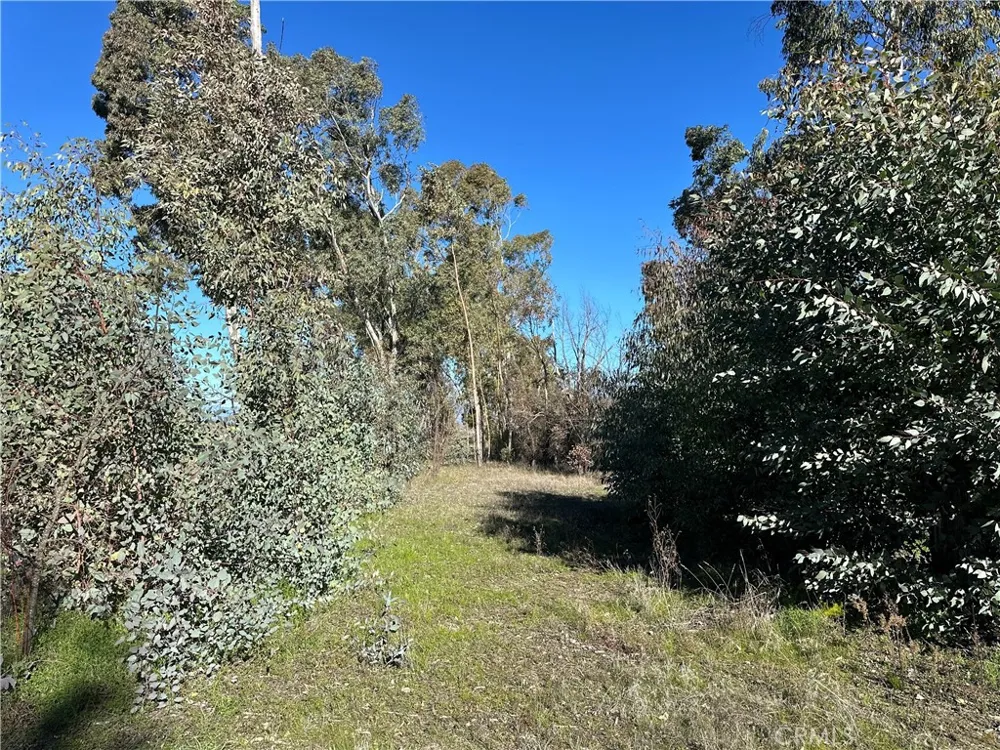 5235 Gaddy Kelseyville, CA 95451