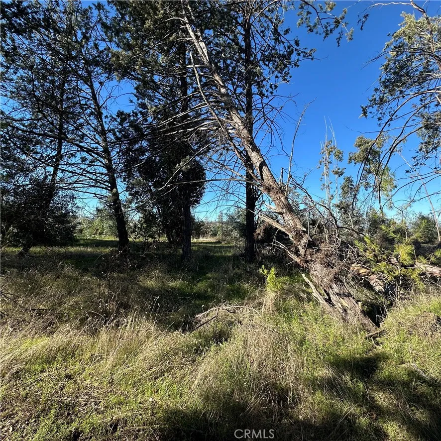 5235 Gaddy Kelseyville, CA 95451