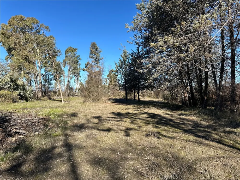 5235 Gaddy Kelseyville, CA 95451