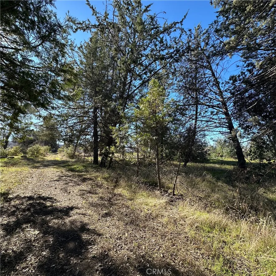 5235 Gaddy Kelseyville, CA 95451