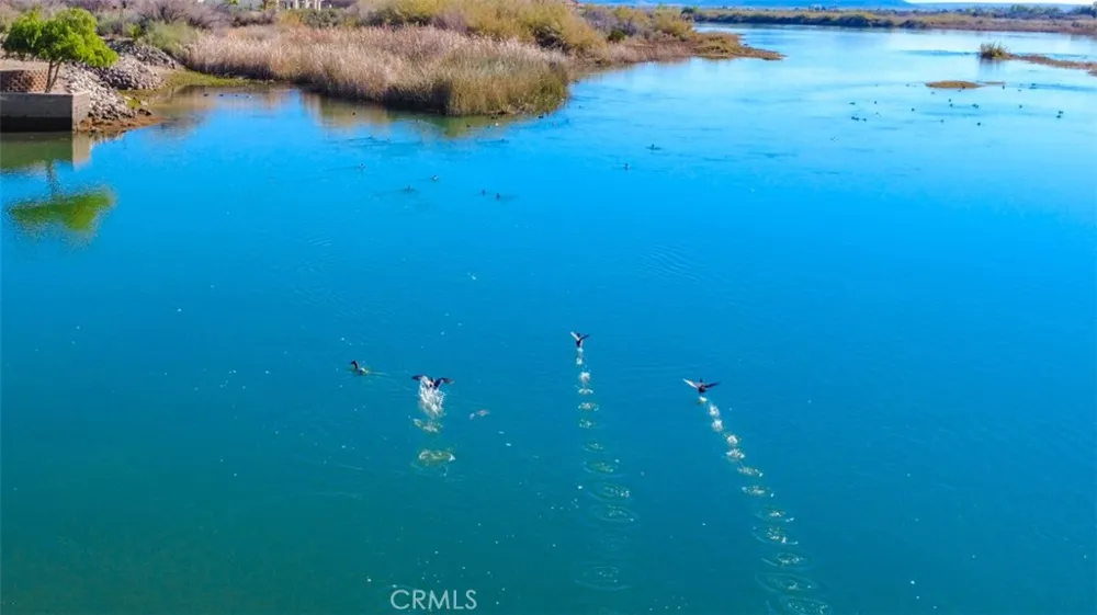 151429 Rio Vista Big River, CA 92242