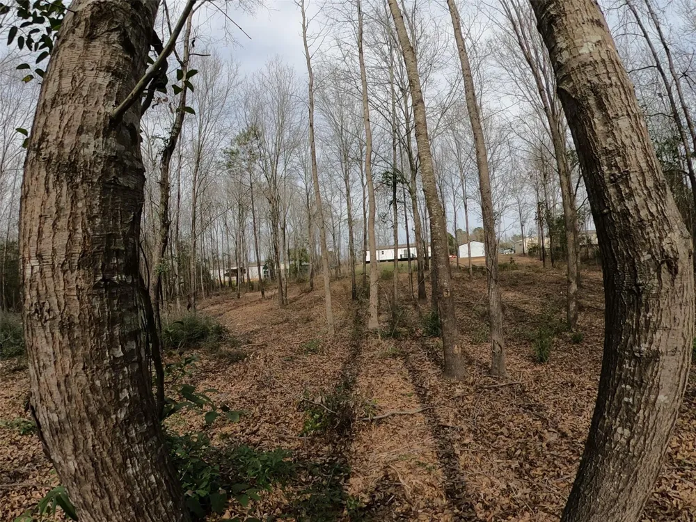 141 Tanglewood Drive Gilmer, TX 75645