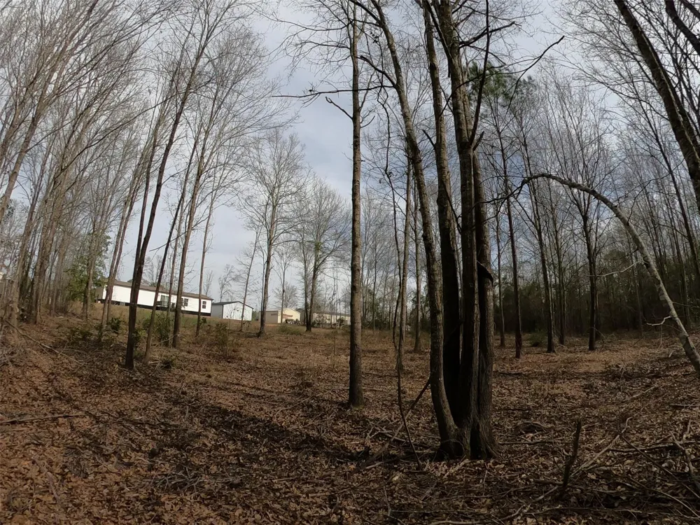 141 Tanglewood Drive Gilmer, TX 75645