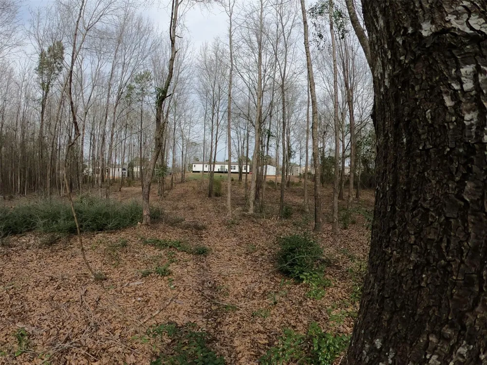 141 Tanglewood Drive Gilmer, TX 75645