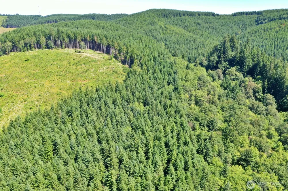 1668 King Road Winlock, WA 98596