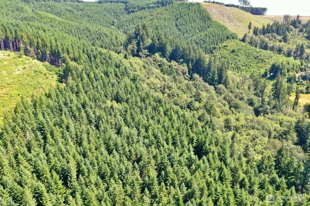 1668 King Road Winlock, WA 98596