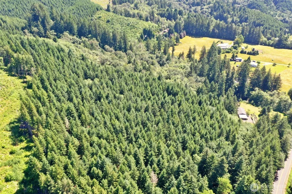 1668 King Road Winlock, WA 98596