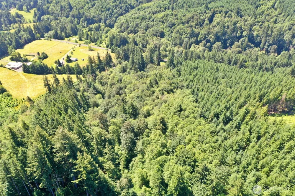 1668 King Road Winlock, WA 98596
