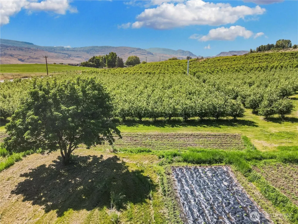 223 Old Riverside HWY Omak, WA 98841
