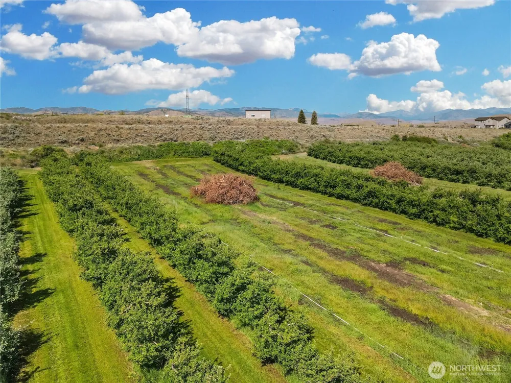 223 Old Riverside HWY Omak, WA 98841