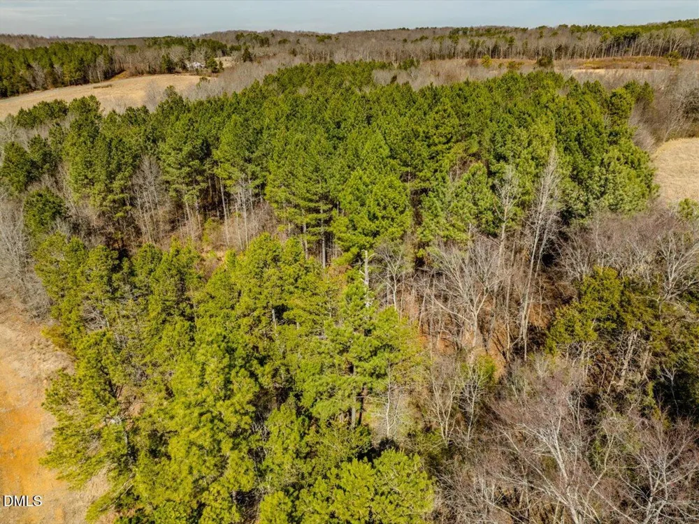 0 Mark Willett Road Bear Creek, NC 27207