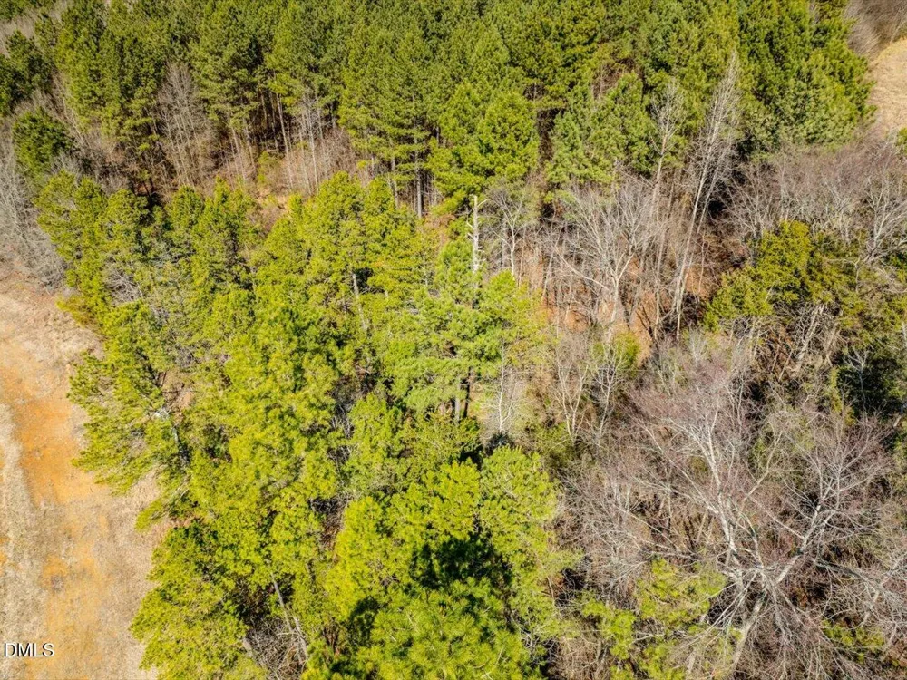 0 Mark Willett Road Bear Creek, NC 27207