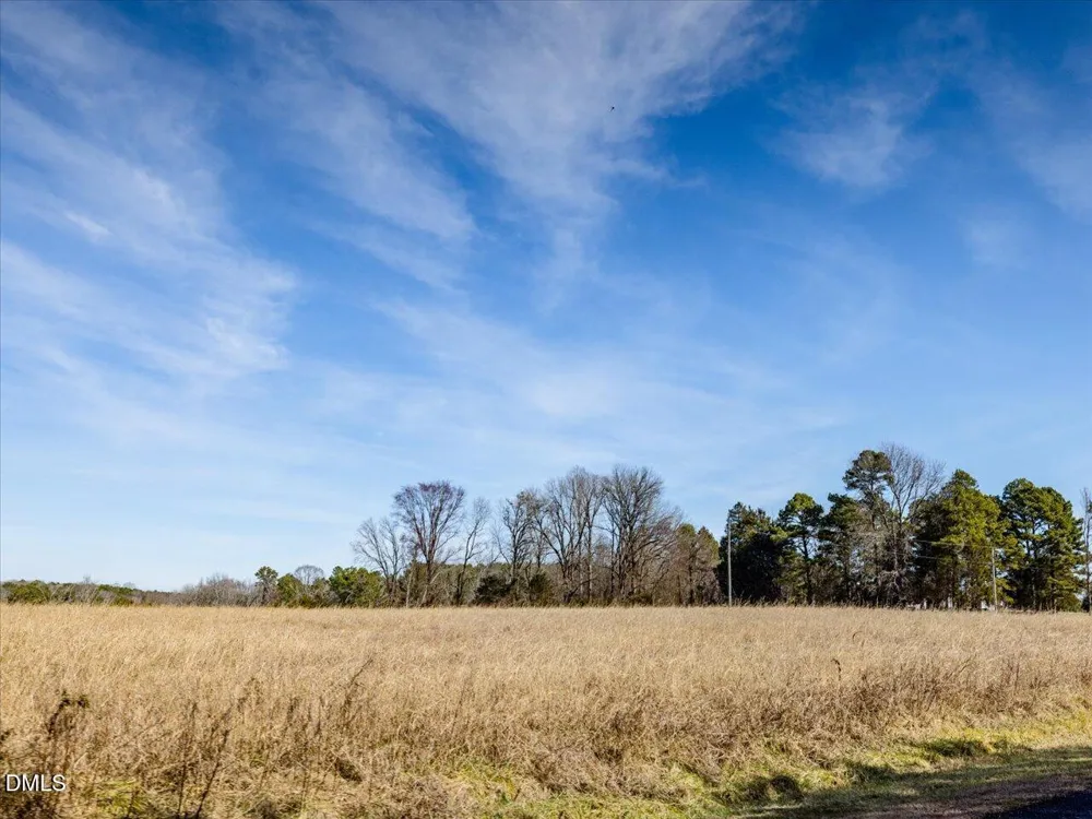 0 Mark Willett Road Bear Creek, NC 27207