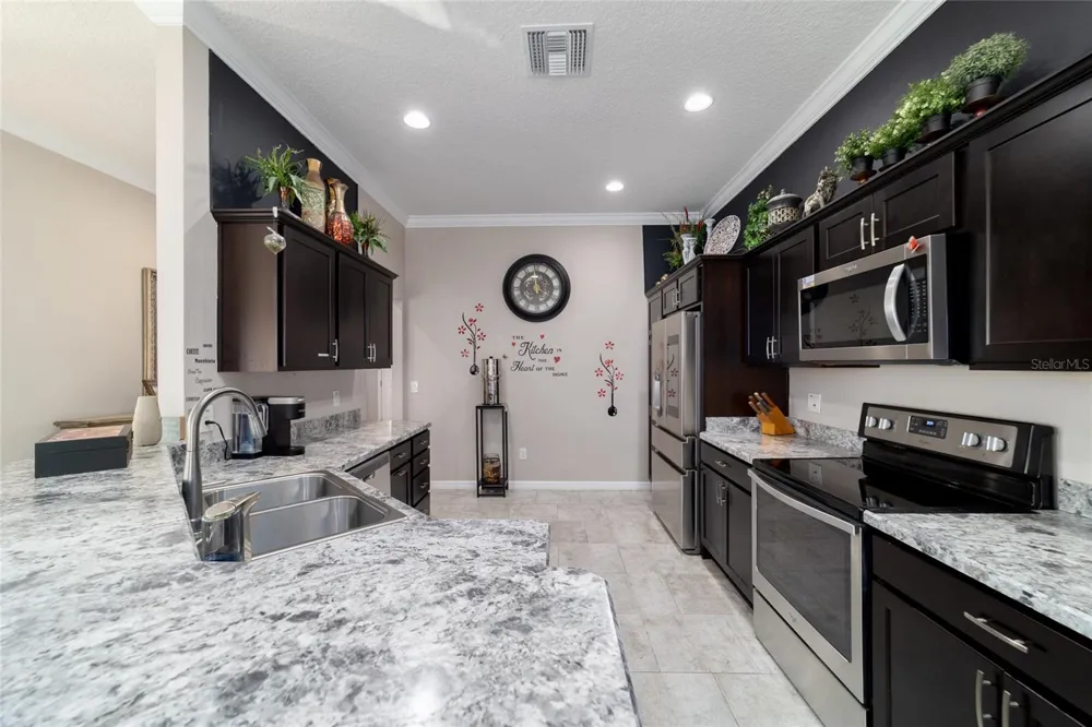 1194 MCDONOUGH PLACE The Villages, FL 32163