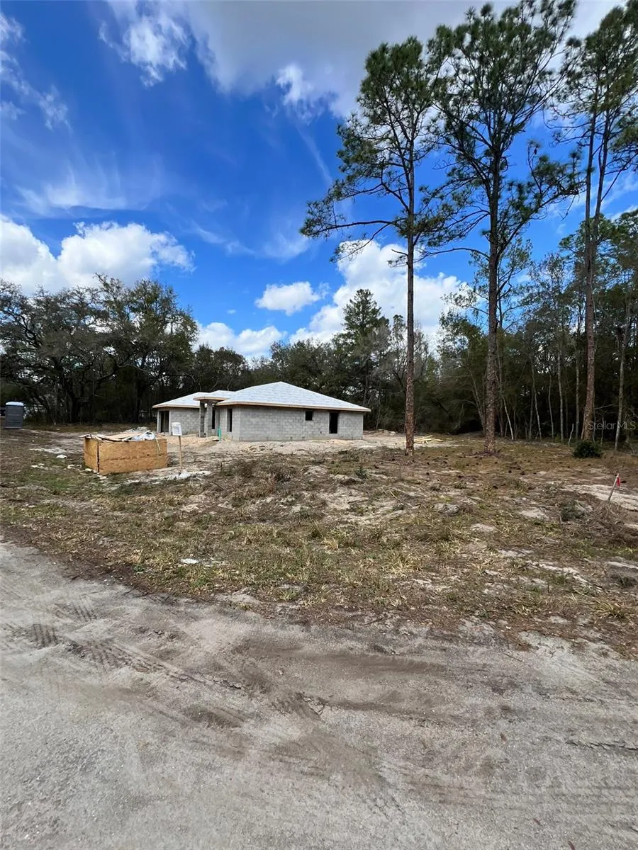 3 GUAVA PASS RUN Ocklawaha, FL 32179