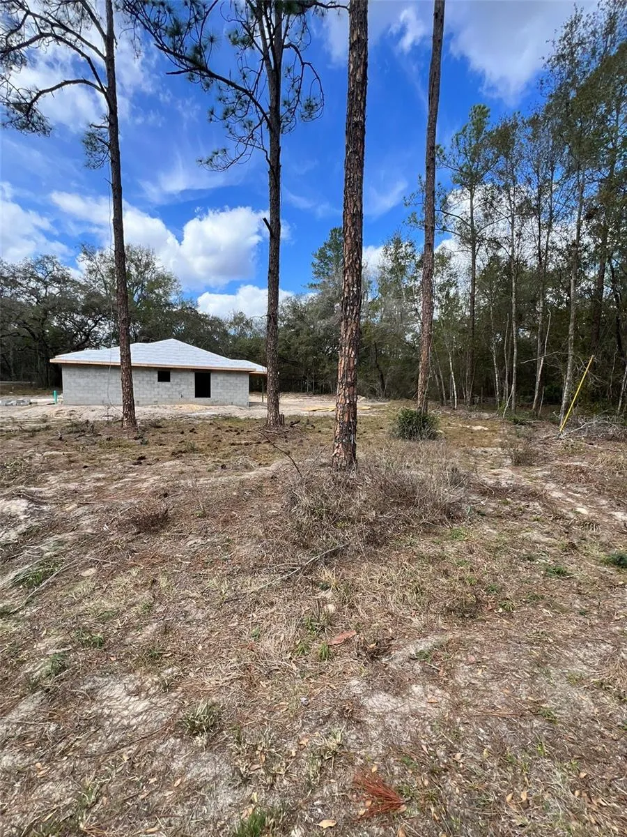 3 GUAVA PASS RUN Ocklawaha, FL 32179