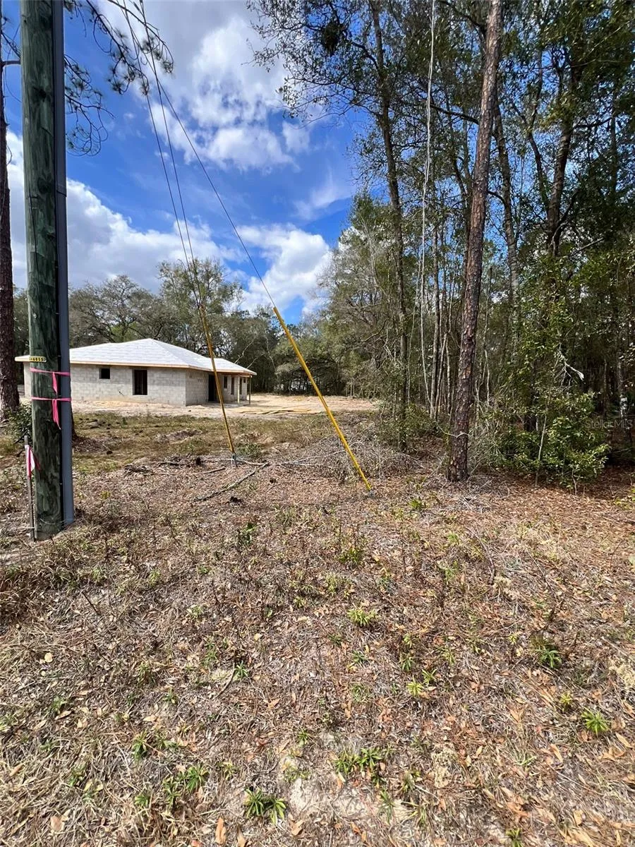 3 GUAVA PASS RUN Ocklawaha, FL 32179