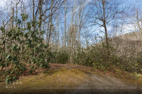 Lot 46 E Rochester Drive