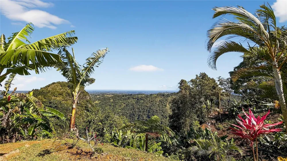 ALTURITAS CACAO PARCEL B Orocovis, PR 00720