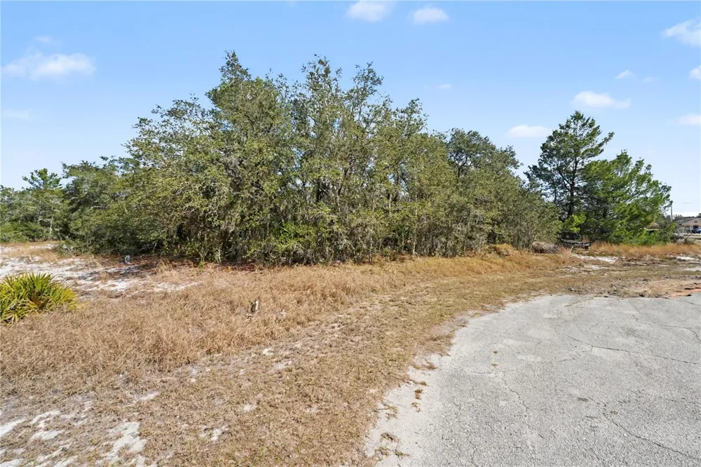 611 AMAZON COURT Poinciana, FL 34759