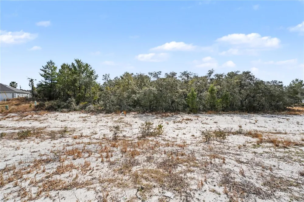 611 AMAZON COURT Poinciana, FL 34759