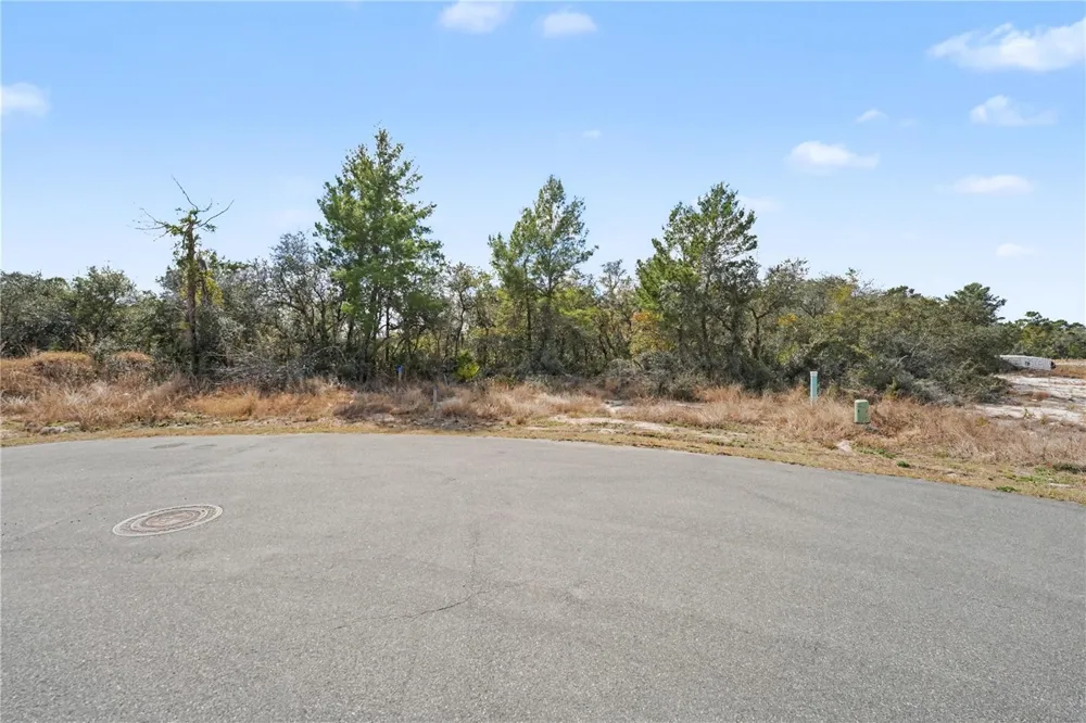 1204 WAVERLY PLACE Poinciana, FL 34759