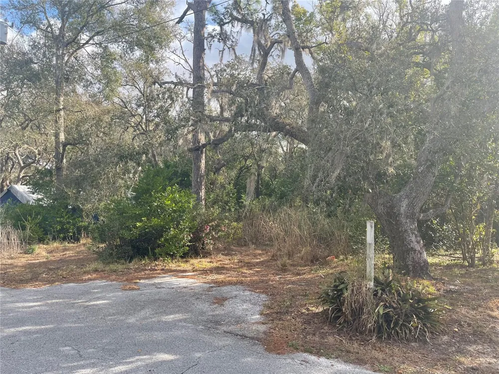 10024 OANA STREET New Port Richey, FL 34654