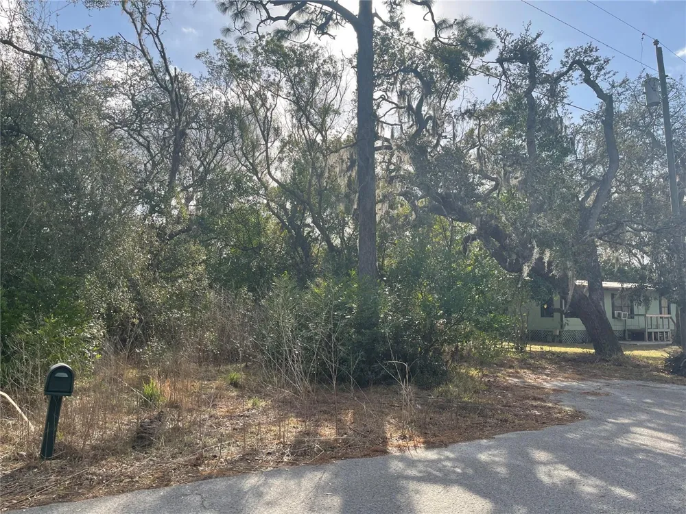 10024 OANA STREET New Port Richey, FL 34654