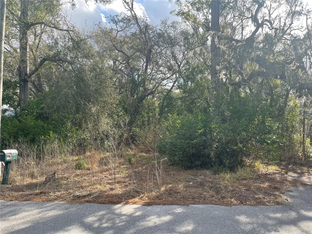 10024 OANA STREET New Port Richey, FL 34654
