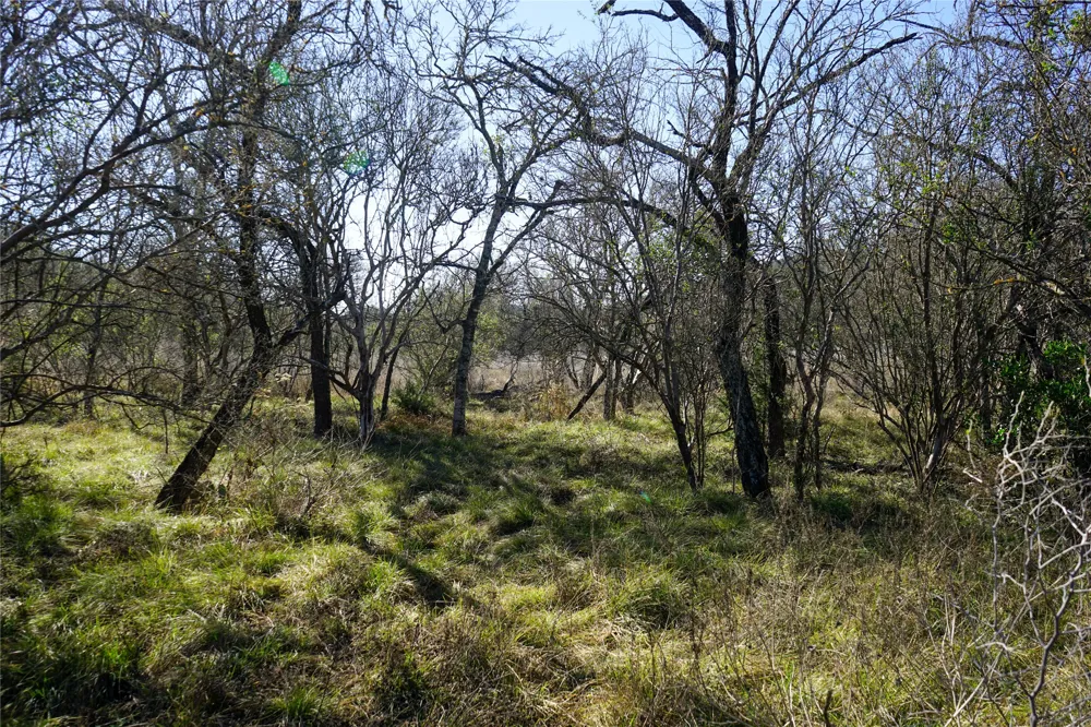 831 Magers Road Concan, TX 78838