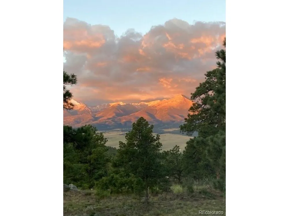 2613 Pheasant Loop Westcliffe, CO 81252