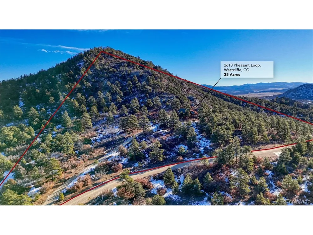 2613 Pheasant Loop Westcliffe, CO 81252
