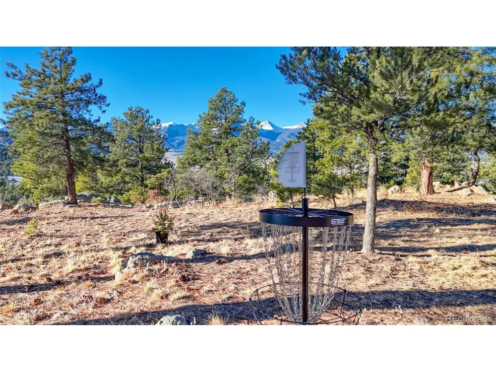 2613 Pheasant Loop Westcliffe, CO 81252