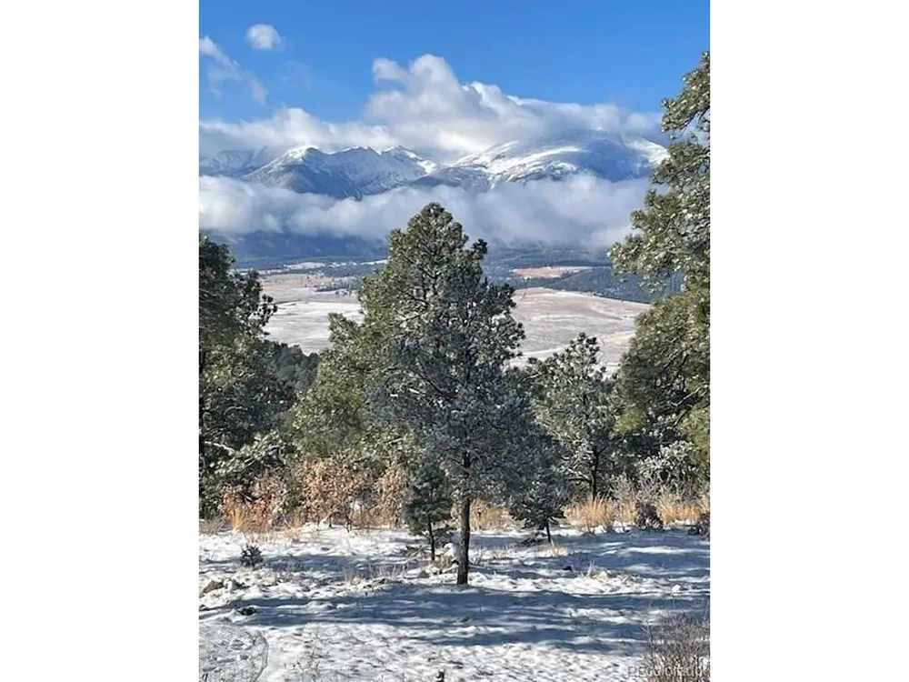 2613 Pheasant Loop Westcliffe, CO 81252