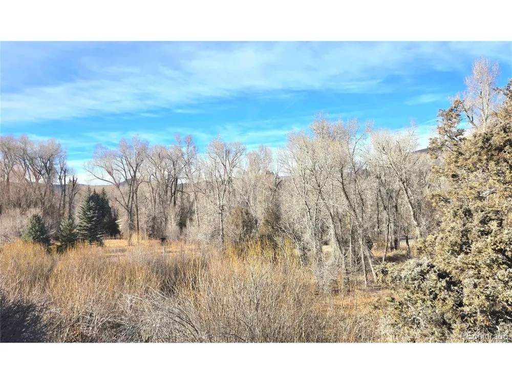 75 Comanche Trail South Fork, CO 81154