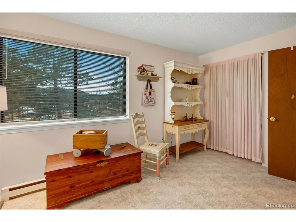560 Manor Court Woodland Park, CO 80863