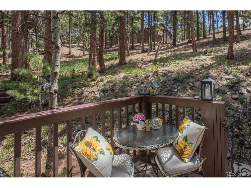560 Manor Court Woodland Park, CO 80863